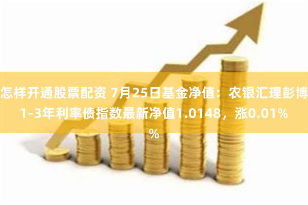 怎样开通股票配资 7月25日基金净值：农银汇理彭博1-3年利率债指数最新净值1.0148，涨0.01%