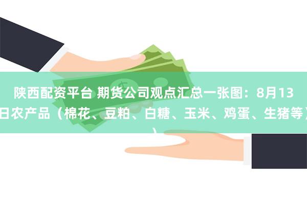 陕西配资平台 期货公司观点汇总一张图：8月13日农产品（棉花、豆粕、白糖、玉米、鸡蛋、生猪等）