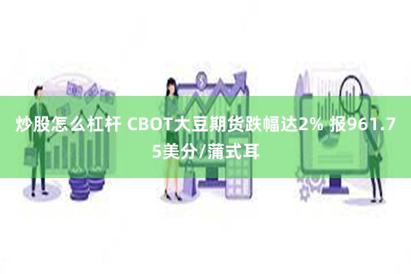 炒股怎么杠杆 CBOT大豆期货跌幅达2% 报961.75美分/蒲式耳