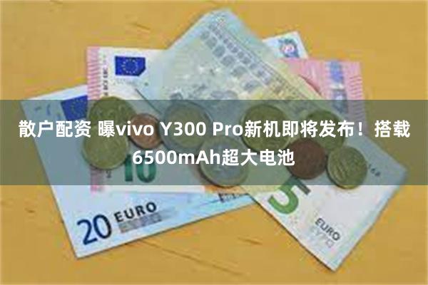 散户配资 曝vivo Y300 Pro新机即将发布！搭载6500mAh超大电池