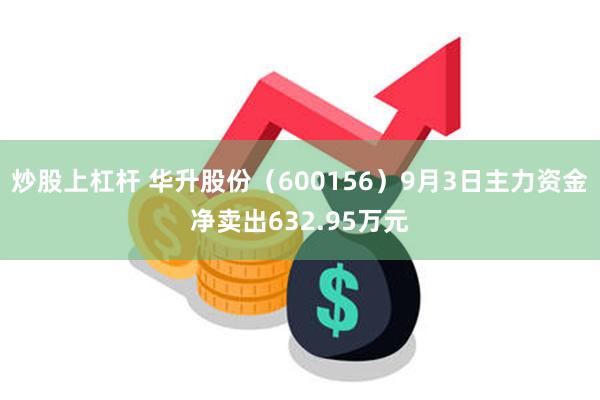 炒股上杠杆 华升股份（600156）9月3日主力资金净卖出632.95万元