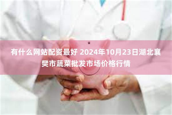 有什么网站配资最好 2024年10月23日湖北襄樊市蔬菜批发市场价格行情